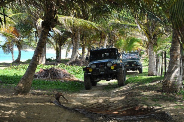 Jeeps on an island.