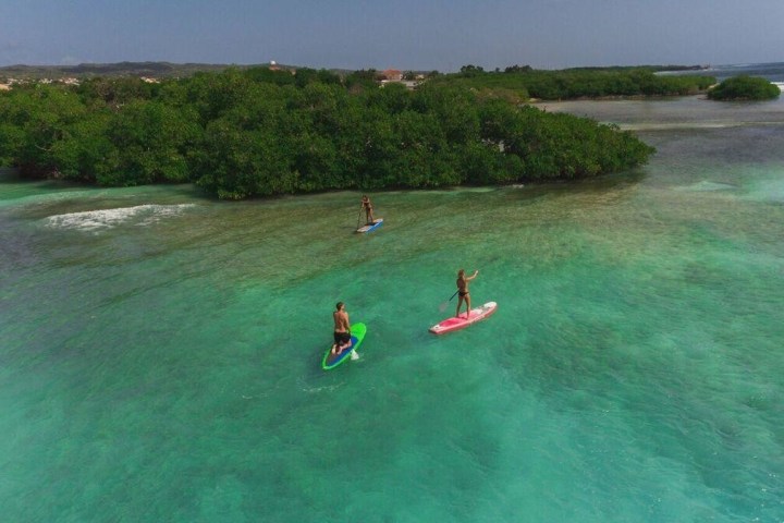 Three people on stand up paddle boards.